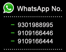 WhatsApp Pioneer